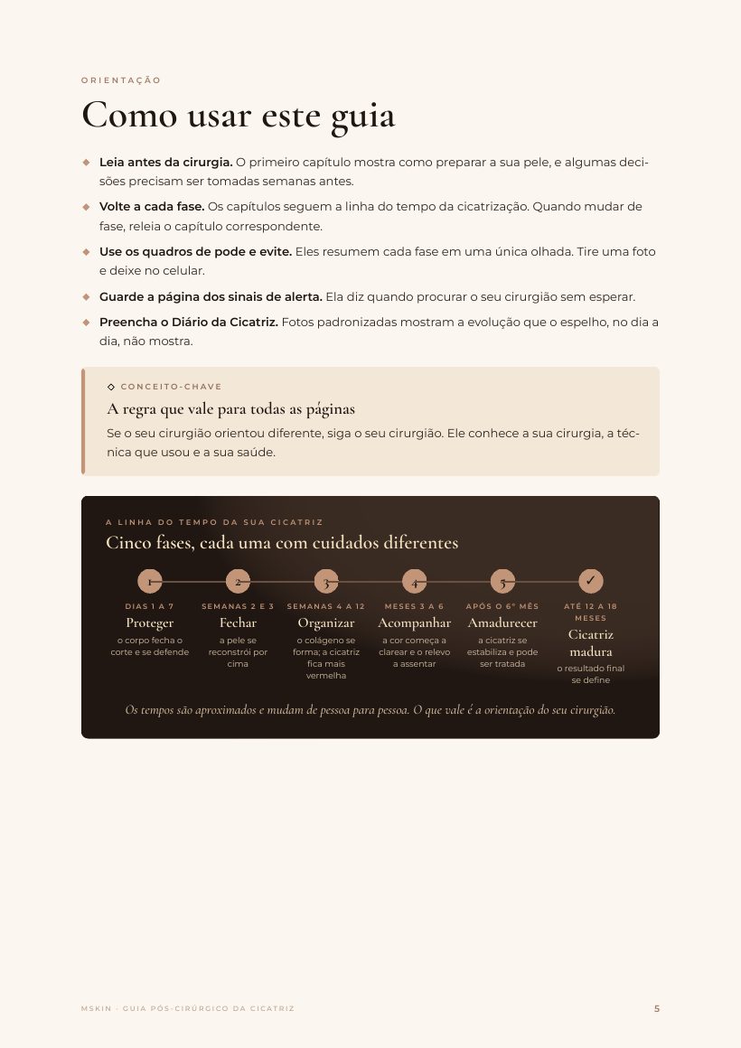 Página do e-book: A linha do tempo da cicatriz