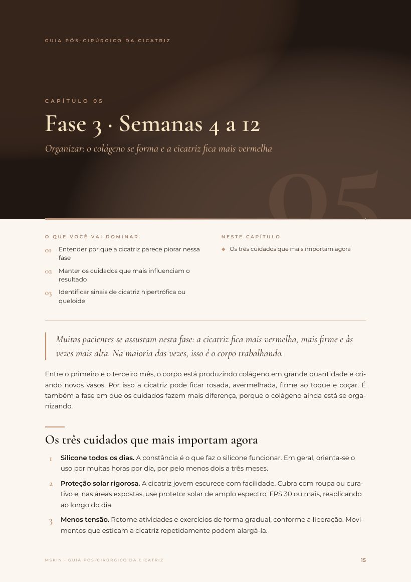 Página do e-book: Fase 3 · Semanas 4 a 12