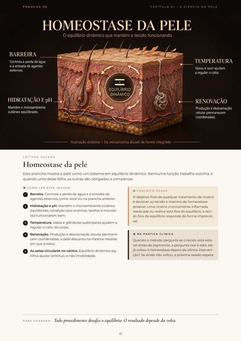 Página do e-book: Homeostase da pele