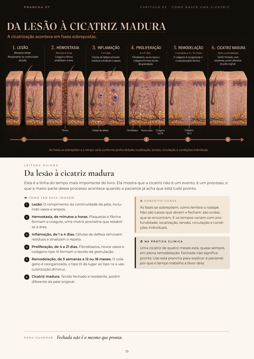 Página do e-book: Da lesão à cicatriz madura