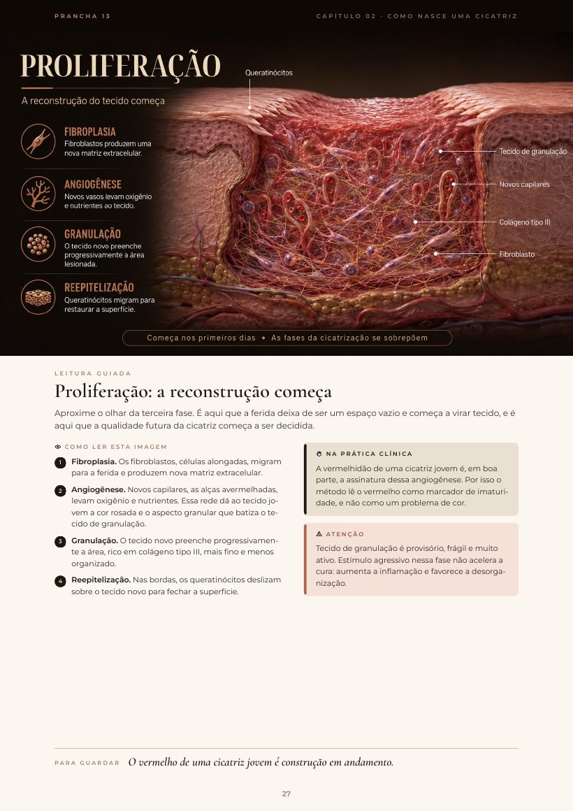 Página do e-book: Proliferação: a reconstrução começa