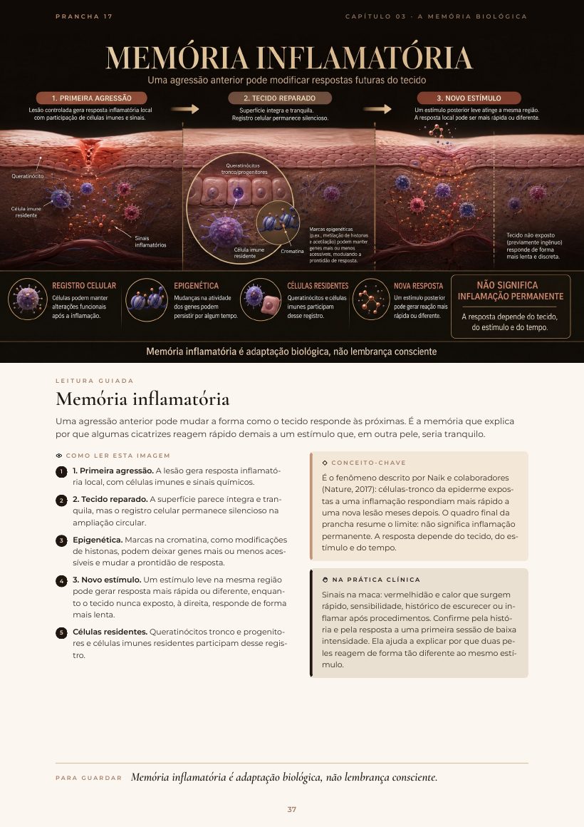 Página do e-book: Memória inflamatória