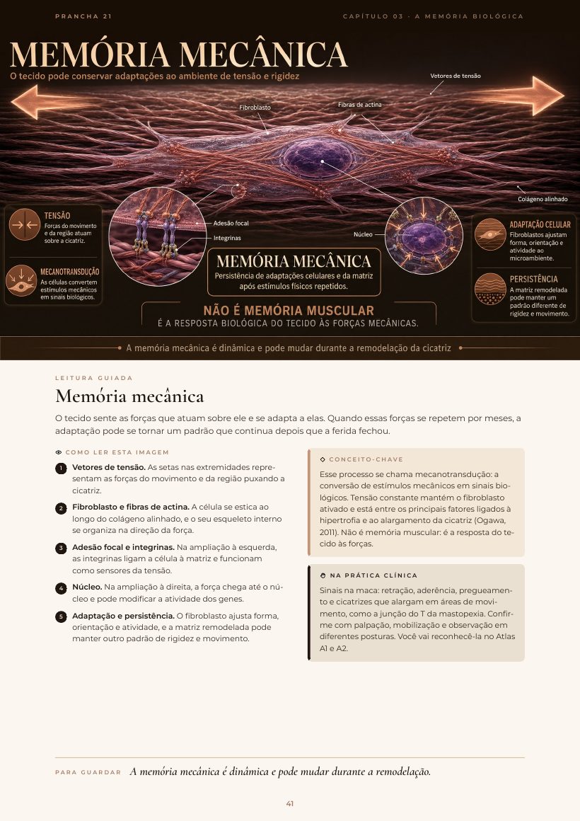 Página do e-book: Memória mecânica