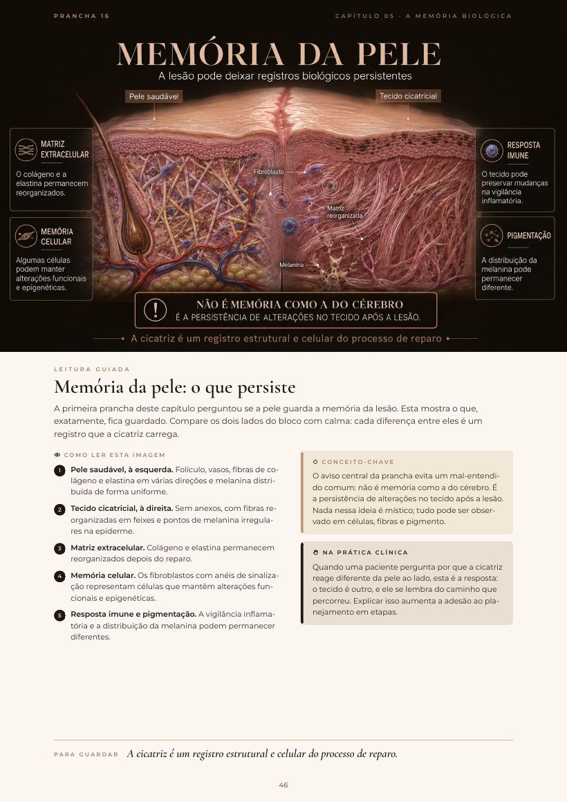Página do e-book: Memória da pele: o que persiste