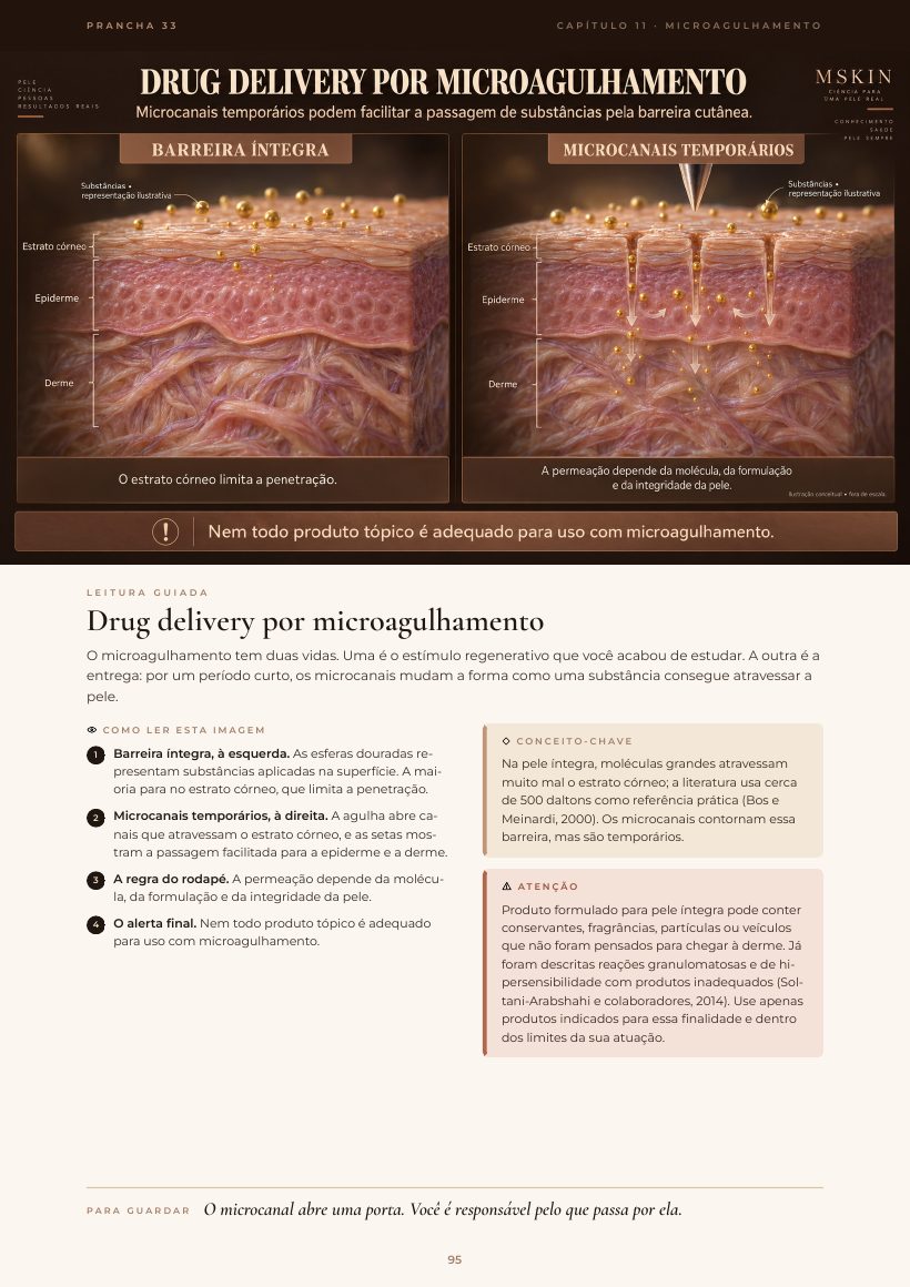 Página do e-book: Drug delivery por microagulhamento