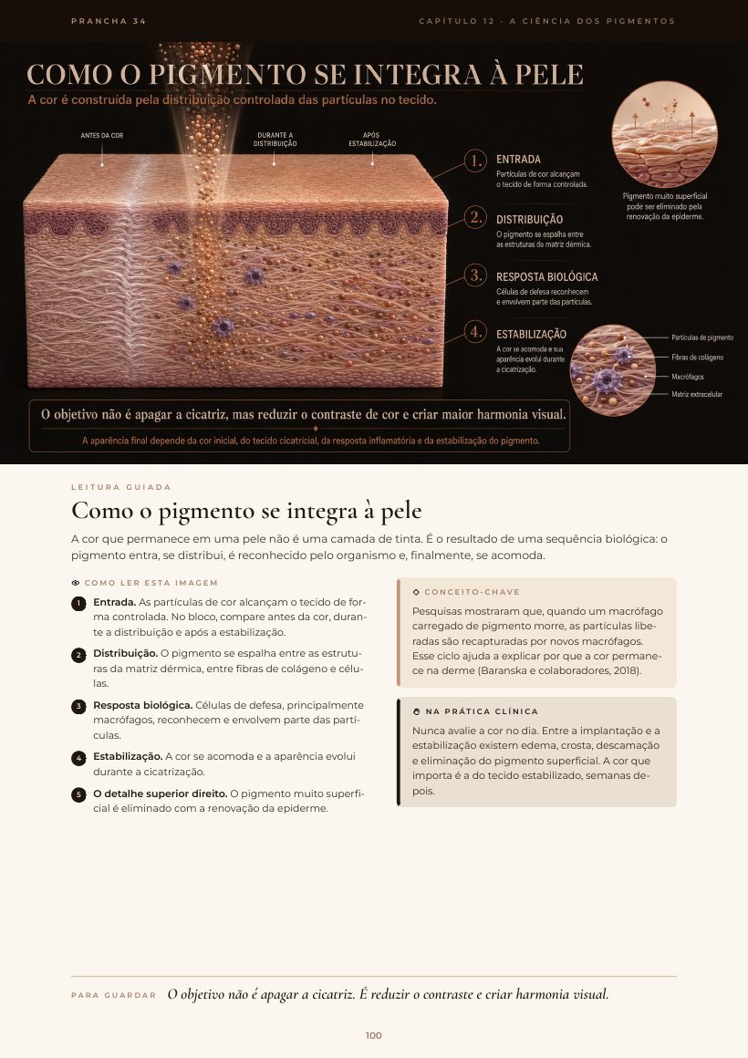 Página do e-book: Como o pigmento se integra à pele